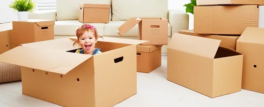 adapazarievdenevetasimacilik