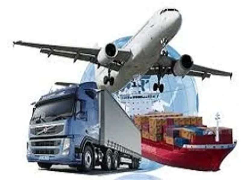 adapazarievesyasitasima