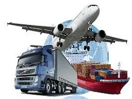 adapazarievesyasitasima