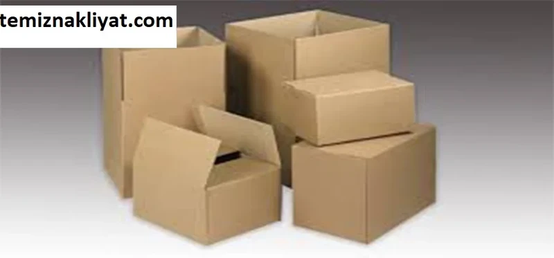 agrievdenevetasimacilik