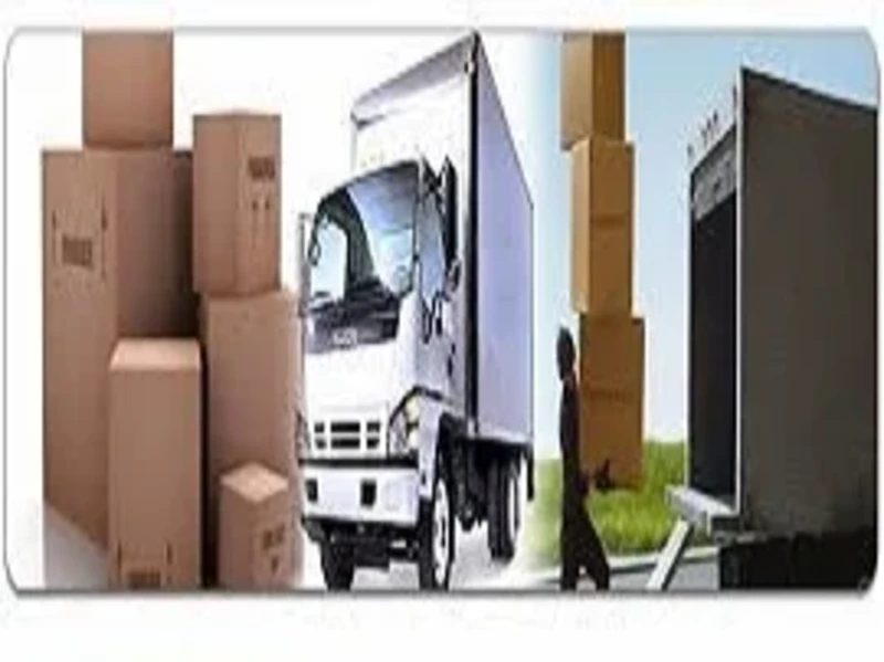 bingolnakliyatsirketleri