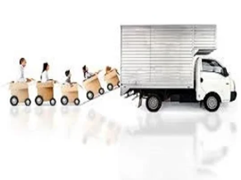 camlikevesyasitasima