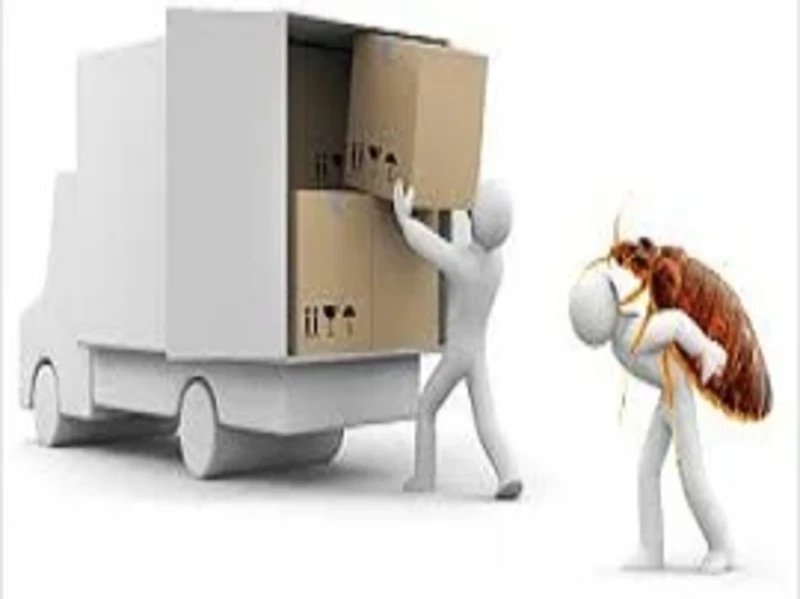 cevizlievdenevetasima