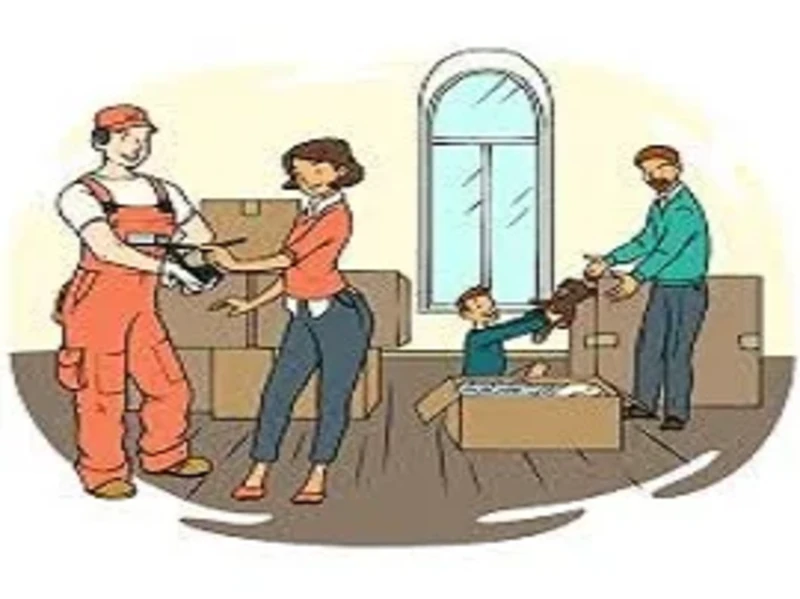 cevizlievesyasitasima