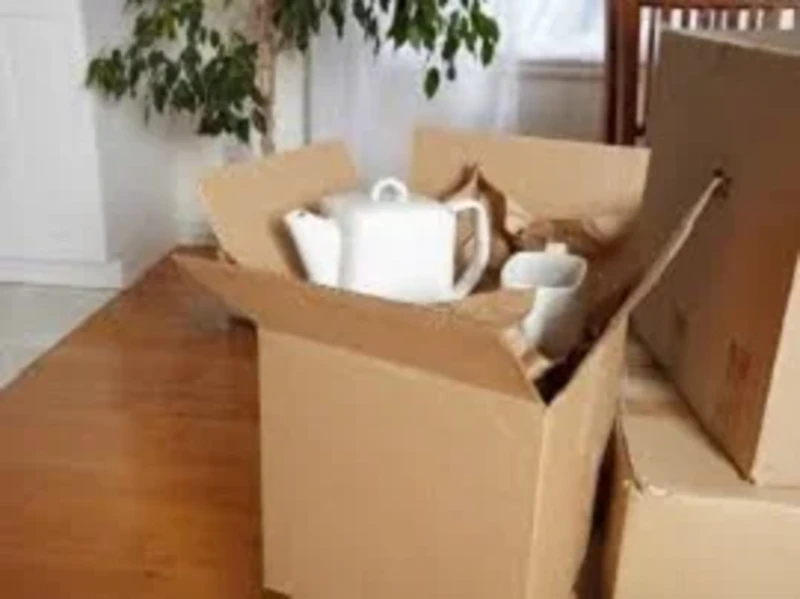 fenerbahceevtasimafirmalari