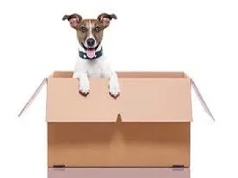 hadimkoyesyadepolama