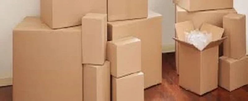 karabukevdenevetasimacilik