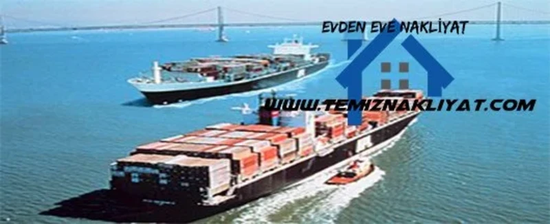 kurtkoyevdenevetasimacilik