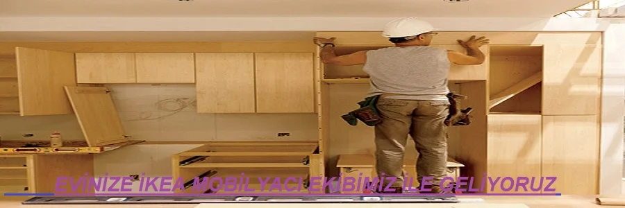 Profesyonel ev taşıma şirketi Profesyonel ev taşıma şirketi